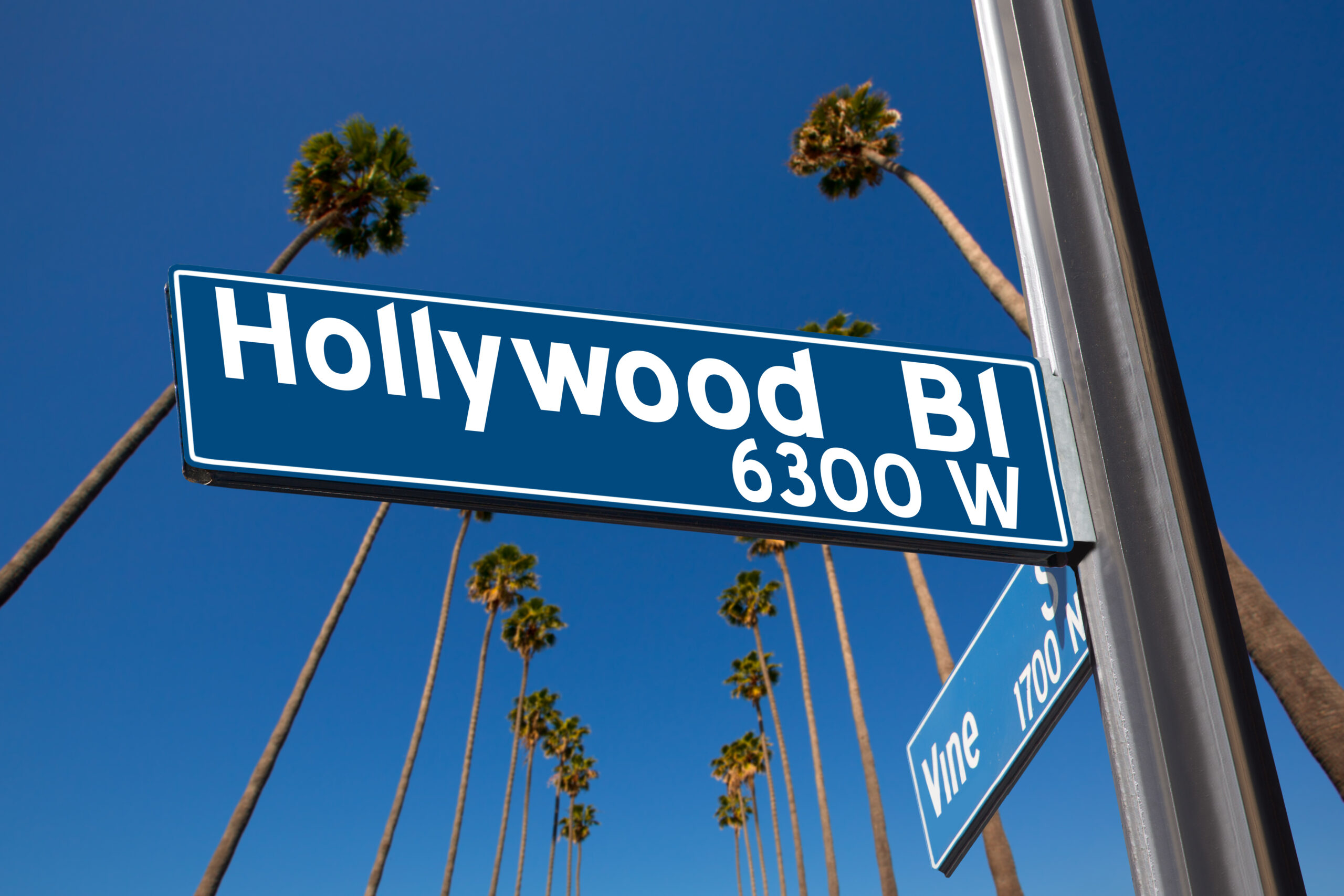 Le Rêve Hollywoodien et le scénario